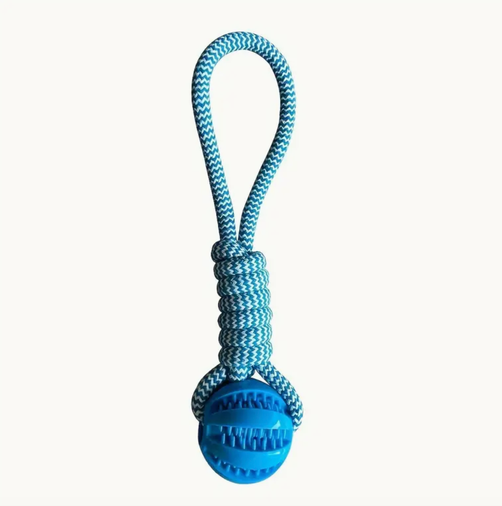 Chew and Play Rope Ball Dog Toy