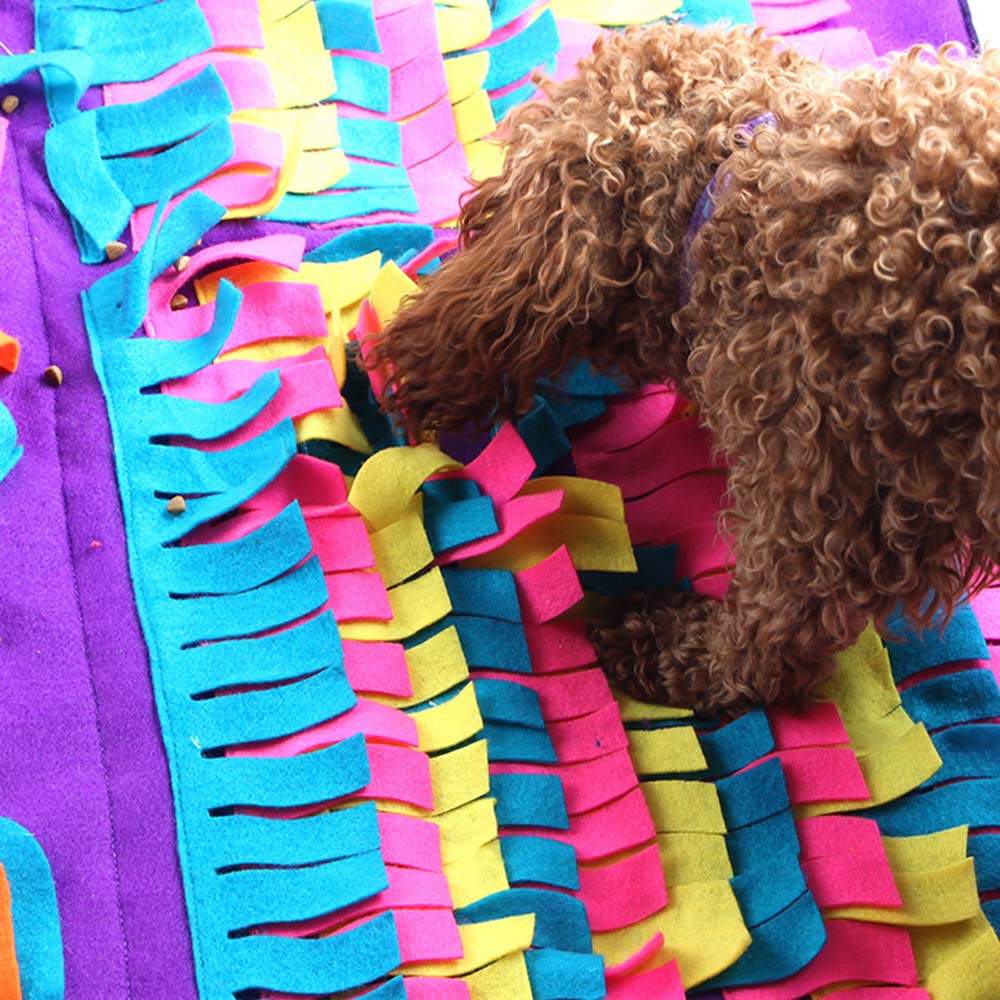 DIY Dog Sniffing Puzzle Mat 